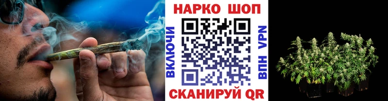 Наркошоп купить Марихуана  Меф мяу мяу  Cocaine  Амфетамин  Псилоцибиновые грибы  A PVP  ГАШ  Гвардейск