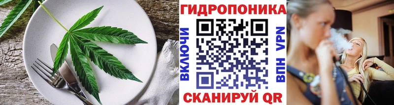 Купить закладки  Гвардейск  Печенье с ТГК марихуана 