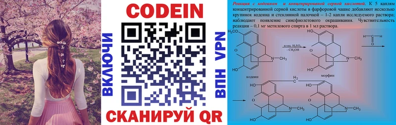 Купить закладки  Гвардейск  Кодеин напиток Lean (лин) 