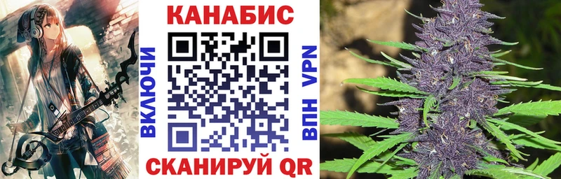 Купить где  Гвардейск  Бошки марихуана семена 